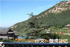 作文：壁虎日记