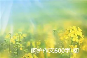 呵护作文600字_初三作文