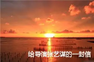 给导演张艺谋的一封信_作文1750字_小学书信作文