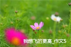 我想飞的更高_作文550字_初中议论文作文