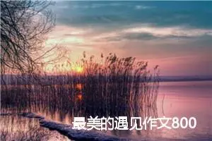 最美的遇见作文800字_初三作文