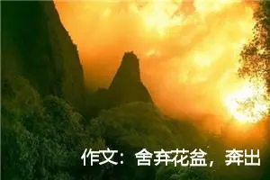 作文：舍弃花盆，奔出庭院