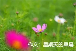 作文：星期天的早晨