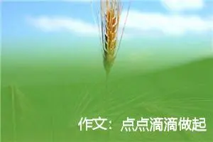 作文：点点滴滴做起
