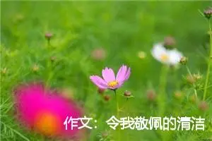 作文：令我敬佩的清洁工