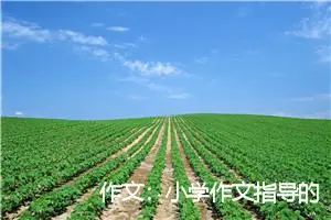 作文：小学作文指导的几点尝试