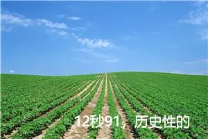 12秒91，历史性的飞翔_作文550字_小学书信作文