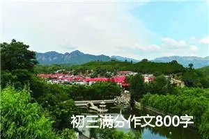 初三满分作文800字精选21篇