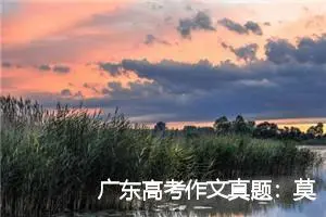 广东高考作文真题：莫让照片失去珍贵_作文950字_高考作文