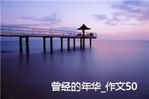 曾经的年华_作文500字_高中优秀作文