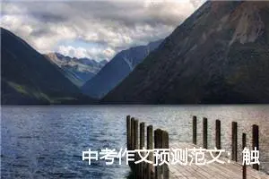 中考作文预测范文：触动心灵的故事_作文600字_中考作文预测