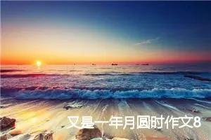 又是一年月圆时作文800字_初三作文