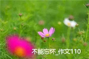 不能忘怀_作文1100字_初中综合作文