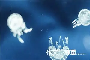 作文：尊重……