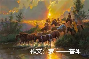 作文：梦 ——奋斗 ——现实