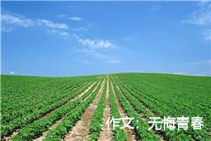 作文：无悔青春