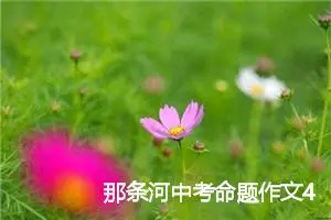 那条河中考命题作文4篇_中考命题作文