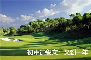初中记叙文：又到一年元宵节_作文700字_初中节日作文