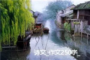 诗文_作文250字_高中优秀作文