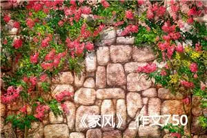 《家风》_作文750字_初中综合作文