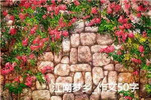 江南梦乡_作文50字_高中作文范文