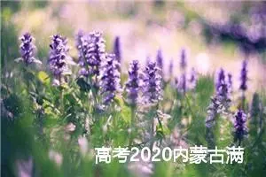 高考2020内蒙古满分作文：所谓“故乡”_高考满分作文