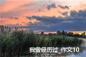 我曾经历过_作文1000字_高中优秀作文