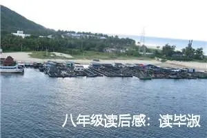 八年级读后感：读毕淑敏散文精选后的感想_作文700字_初中读后感作文