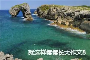 就这样慢慢长大作文800字_初三作文