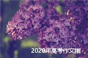 2020年高考作文指导：吸人眼球的高考作文题目_作文3000字_高考作文指导