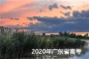 2020年广东省高考满分作文：科技中国 大美中华_高考满分作文