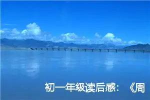 初一年级读后感：《周国平文选》读后感言_作文800字_初中读后感作文