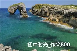 初中时光_作文800字_高中优秀作文