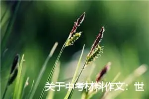 关于中考材料作文：世间最美的一抹_作文700字_中考材料作文