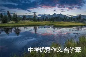 中考优秀作文:台阶牵动我的情思_作文450字_中考作文