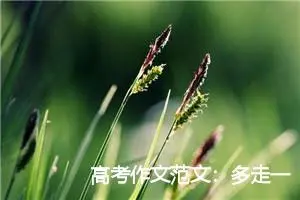 高考作文范文：多走一步_作文3000字_高考作文