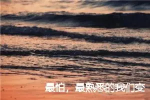 最怕，最熟悉的我们变成最熟悉的陌生人_作文900字_高中作文范文