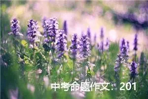 中考命题作文：2019年黑龙江齐齐哈尔中考范文阅读_作文2450字_中考命题作文