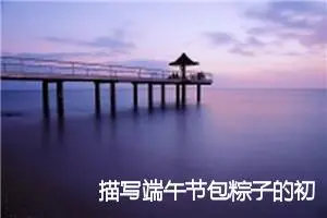 描写端午节包粽子的初中作文_作文1300字_初中节日作文