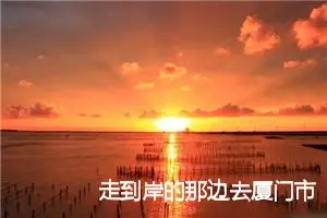 走到岸的那边去厦门市中考满分作文_作文850字_中考作文