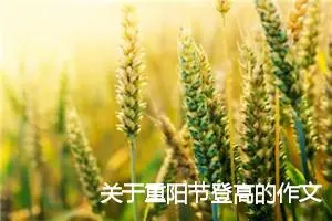 关于重阳节登高的作文大全_作文2100字_初中节日作文