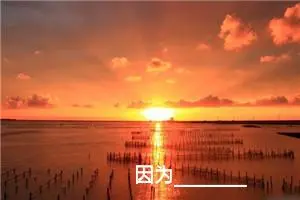 因为________，我也很美丽_作文850字_初中综合作文
