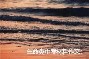生命类中考材料作文：生命不容轻易亵渎_作文700字_中考材料作文