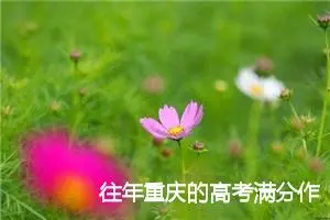 往年重庆的高考满分作文精选_高考满分作文