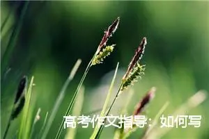 高考作文指导：如何写出有新意的作文_作文200字_高考作文指导