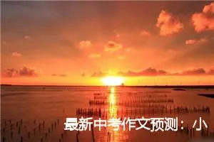 最新中考作文预测：小小的我_作文650字_中考作文预测