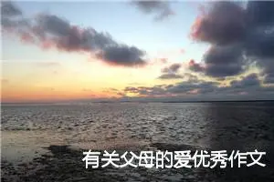 有关父母的爱优秀作文5篇_中考命题作文