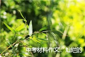 中考材料作文：灿烂的笑容作文_作文650字_中考材料作文