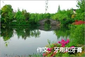 作文：牙刷和牙膏
