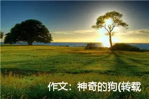 作文：神奇的狗(转载)